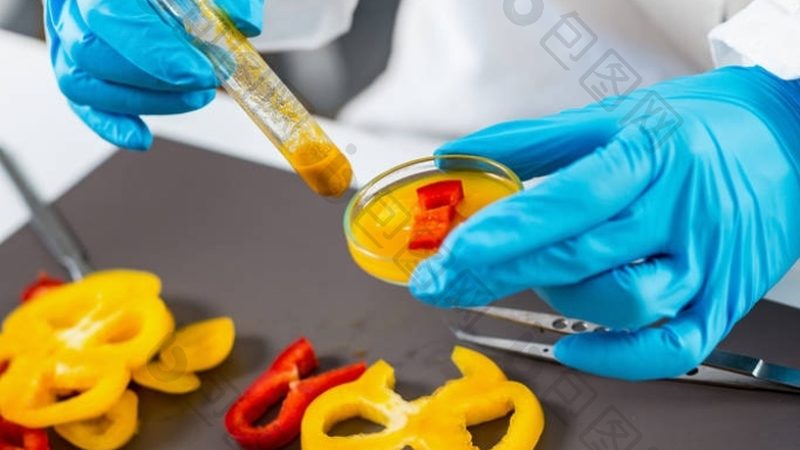 面包保质期之谜：休闲食品中的时间密码**